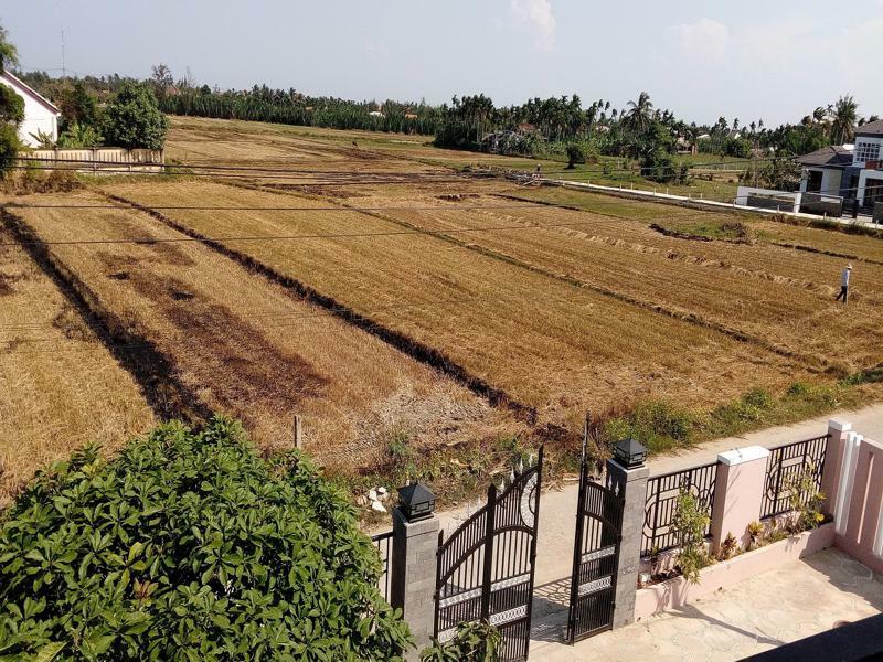 The Field Homestay Hoi An Exterior foto